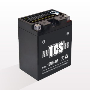 TCS motorcycle battery sealed MF 12N14-BS