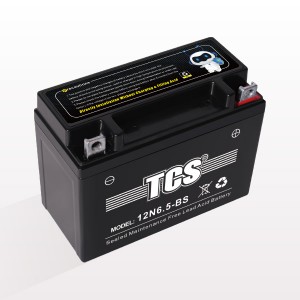 TCS-motorcikla baterio sigelita vivtenado senpaga 12N6.5-BS