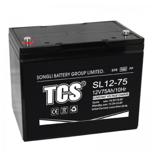 TCS Sonkrag-rugsteun, ups-battery, noodbeligtingsbattery