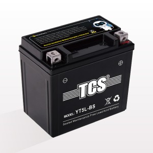 TCS Motorcycle battery sealed maintenance free YT5L-BS