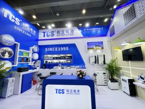 te 135th Canton Fair (4)